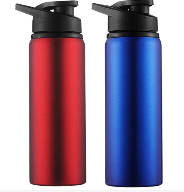 Velora 700ML Sports Water Bottle Stainless Steel